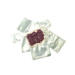 Bolsa al vacío 200 x 250 mm (100 und)(10)