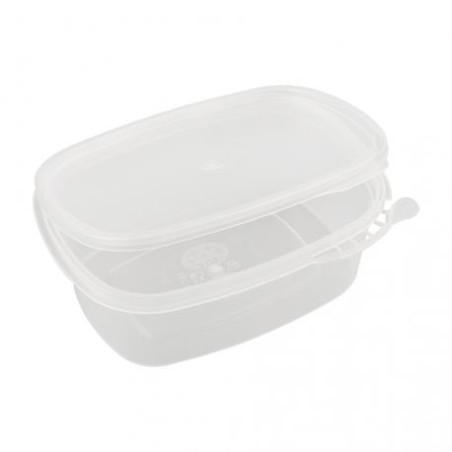 Tarrina PP oval bisagra precinto 250 cc (50 und)(12)