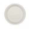 Plato Caña de Azúcar 26 cm (50 und)(10)