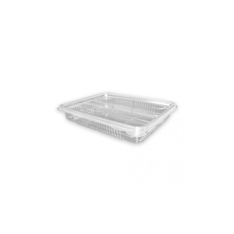 Envase rPET C/tapa bisagra p/embutidos H40 (50 und) 220 x145 x 40 mm (8)