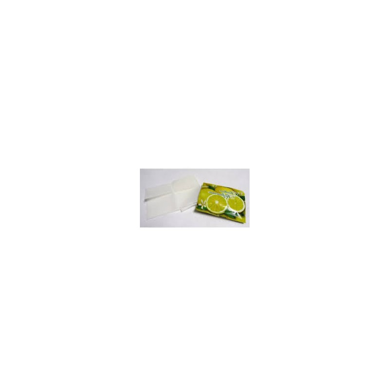 Toallita húmeda perfume limón (250 und)(4)